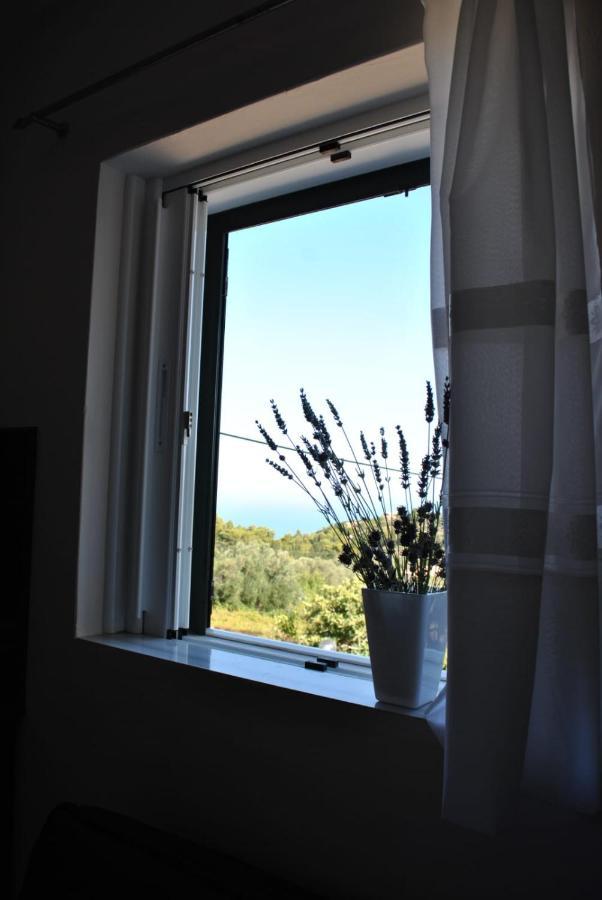Hotel Monika Lefkada Tsoukaládhes Esterno foto