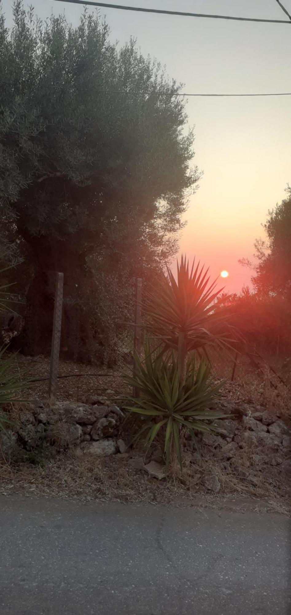 Hotel Monika Lefkada Tsoukaládhes Esterno foto