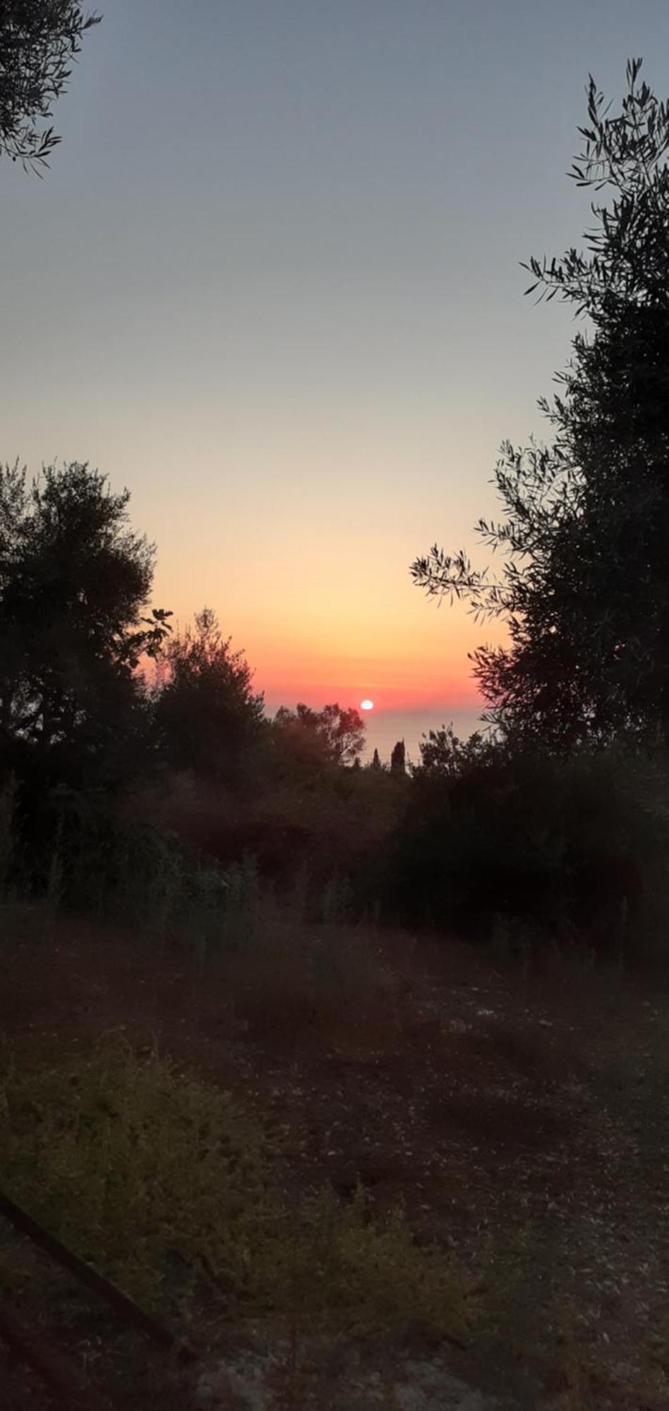 Hotel Monika Lefkada Tsoukaládhes Esterno foto